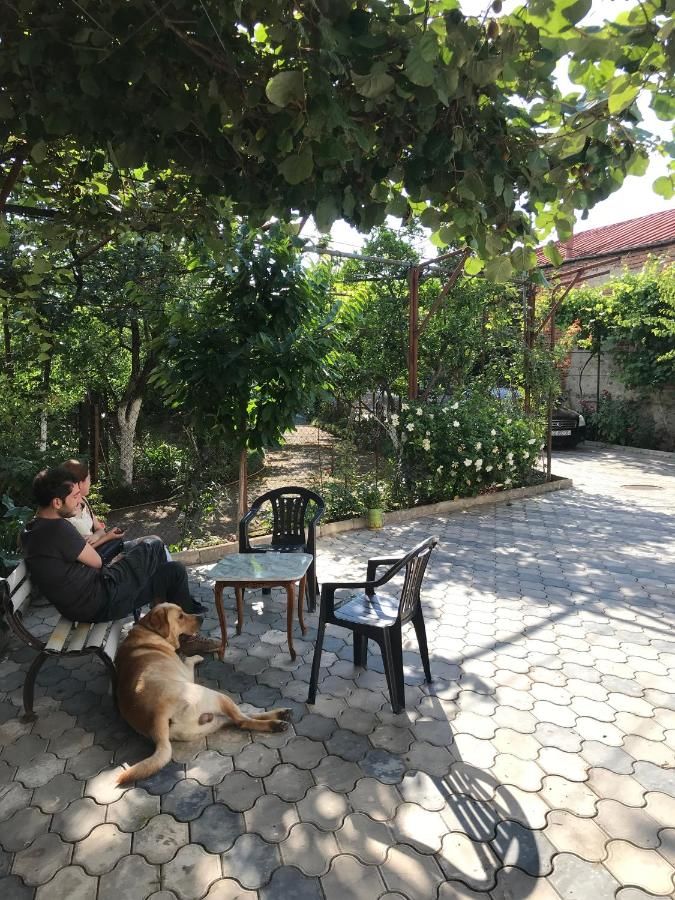 Гостевой дом Bajo Guest House Кутаиси-6