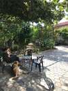 Гостевой дом Bajo Guest House Кутаиси-2