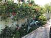 Гостевой дом Bajo Guest House Кутаиси-3