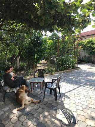 Гостевой дом Bajo Guest House Кутаиси-2