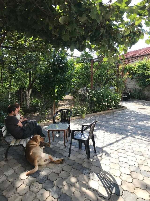 Гостевой дом Bajo Guest House Кутаиси-5