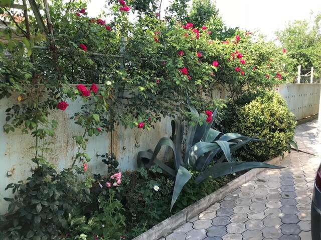 Гостевой дом Bajo Guest House Кутаиси-6